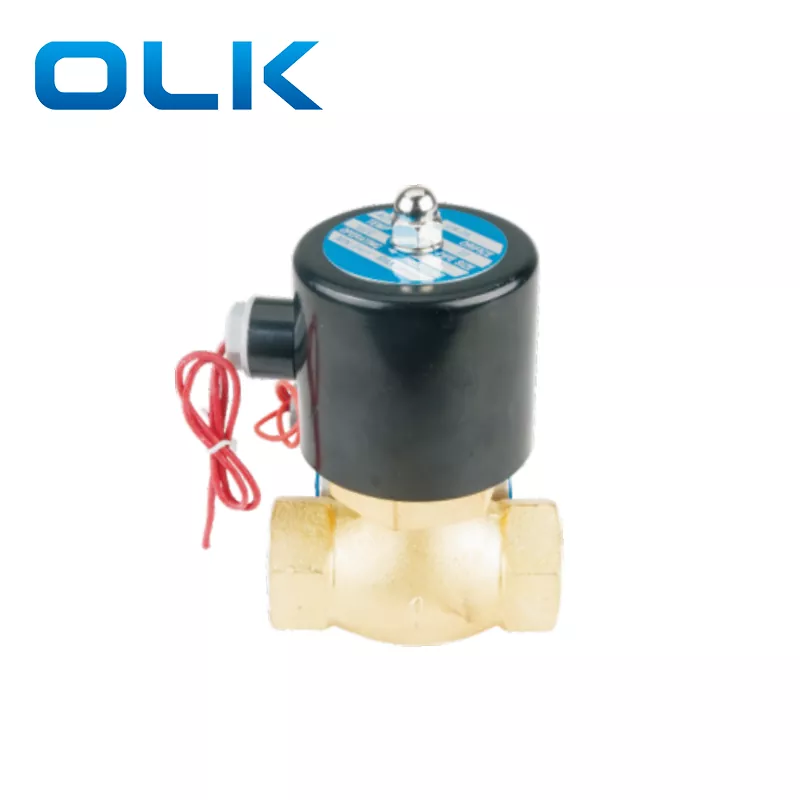 2L বাষ্প Solenoid ভালভ 2 উপায়