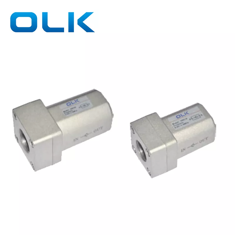 এনআরভি চেক ভালভ